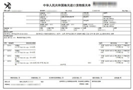 凍墨魚